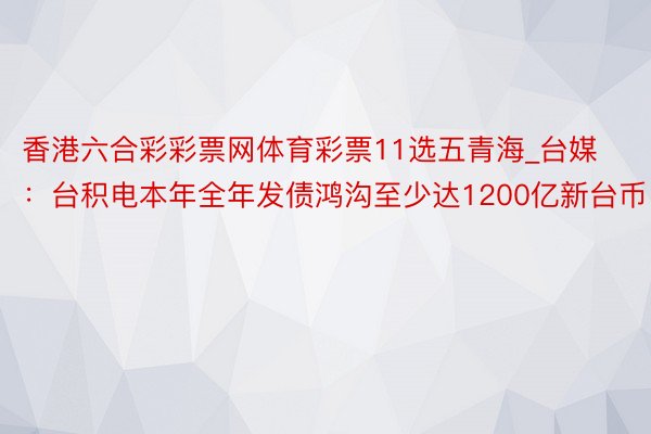 香港六合彩彩票网体育彩票11选五青海_台媒：台积电本年全年发债鸿沟至少达1200亿新台币