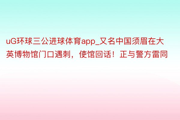 uG环球三公进球体育app_又名中国须眉在大英博物馆门口遇刺，使馆回话！正与警方雷同