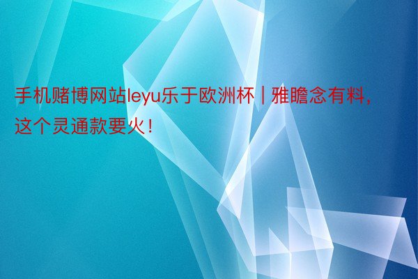 手机赌博网站leyu乐于欧洲杯 | 雅瞻念有料，这个灵通款要火！